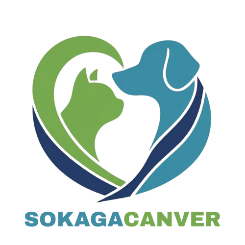 sokagacanver sokagacanver