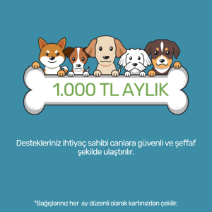 1000 TL Aylık