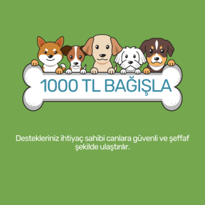 1.000 TL Bağış Yap
