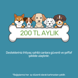 200 TL Aylık