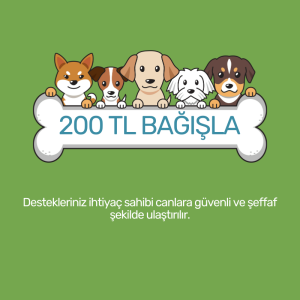 200 TL Bağış Yap