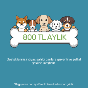 800 TL Aylık