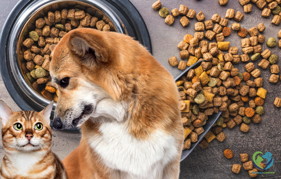 Mama-destegi Mama-destegi